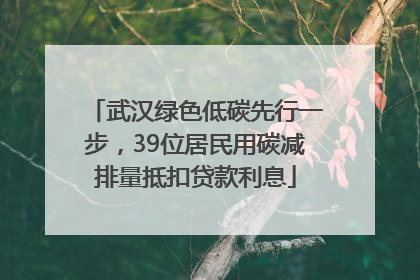 武汉绿色低碳先行一步，39位居民用碳减排量抵扣贷款利息