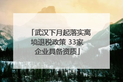 武汉下月起落实离境退税政策 33家企业具备资质