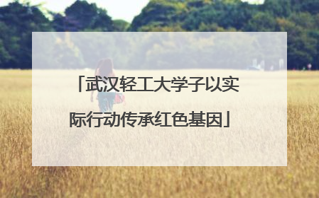 武汉轻工大学子以实际行动传承红色基因
