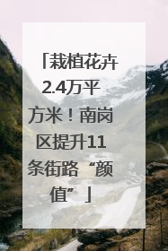 栽植花卉2.4万平方米！南岗区提升11条街路“颜值”