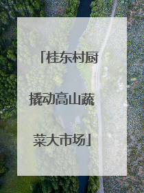 桂东村厨撬动高山蔬菜大市场