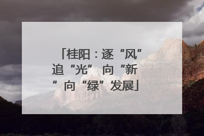 桂阳：逐“风”追“光” 向“新”向“绿”发展