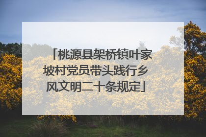 桃源县架桥镇叶家坡村党员带头践行乡风文明二十条规定