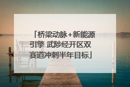 桥梁动脉+新能源引擎 武陟经开区双赛道冲刺半年目标