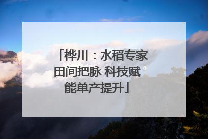 桦川：水稻专家田间把脉 科技赋能单产提升