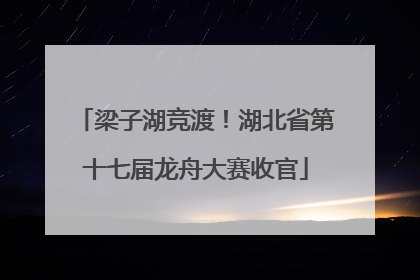 梁子湖竞渡！湖北省第十七届龙舟大赛收官