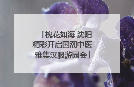 槐花如海 沈阳精彩开启国潮中医雅集汉服游园会