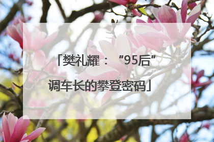 樊礼耀：“95后”调车长的攀登密码
