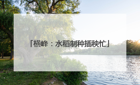横峰：水稻制种插秧忙