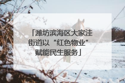 潍坊滨海区大家洼街道以“红色物业”赋能民生服务