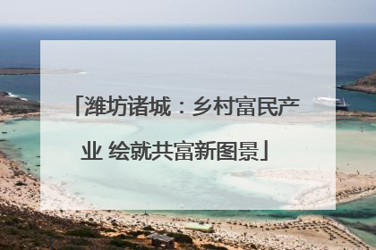 潍坊诸城：乡村富民产业 绘就共富新图景