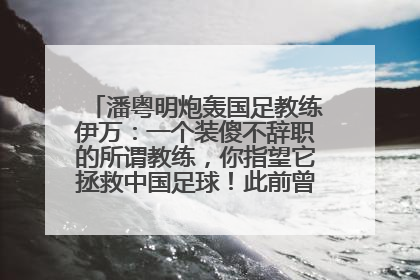 潘粤明炮轰国足教练伊万：一个装傻不辞职的所谓教练，你指望它拯救中国足球！此前曾多次发文评价国足