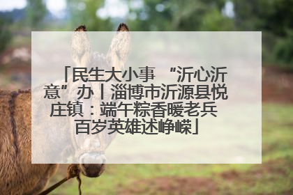 民生大小事 “沂心沂意”办丨淄博市沂源县悦庄镇：端午粽香暖老兵 百岁英雄述峥嵘