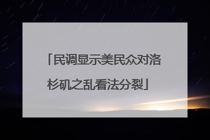 民调显示美民众对洛杉矶之乱看法分裂