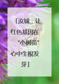 汝城：让红色基因在“小树苗”心中生根发芽