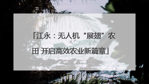 江永：无人机“展翅”农田 开启高效农业新篇章