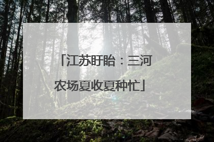 江苏盱眙：三河农场夏收夏种忙