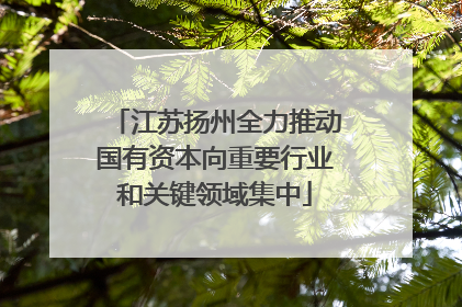 江苏扬州全力推动国有资本向重要行业和关键领域集中