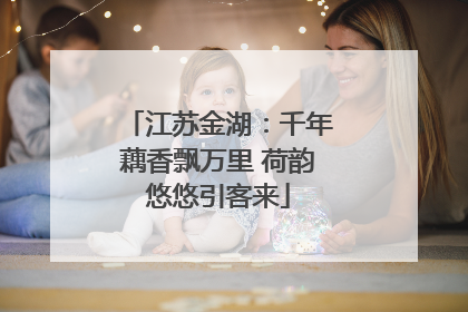 江苏金湖：千年藕香飘万里 荷韵悠悠引客来