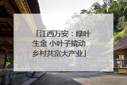 江西万安：绿叶生金 小叶子撬动乡村共富大产业