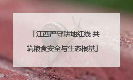 江西严守耕地红线 共筑粮食安全与生态根基