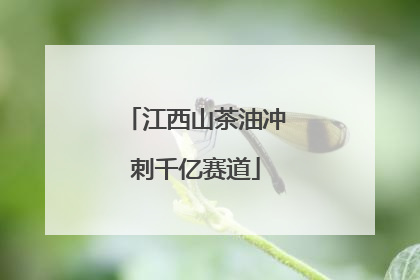 江西山茶油冲刺千亿赛道