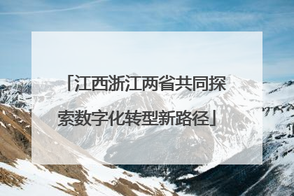 江西浙江两省共同探索数字化转型新路径
