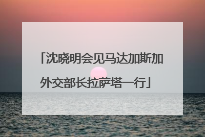 沈晓明会见马达加斯加外交部长拉萨塔一行