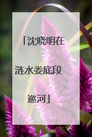沈晓明在涟水娄底段巡河