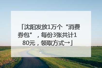 沈阳发放1万个“消费券包”，每份3张共计180元，领取方式→