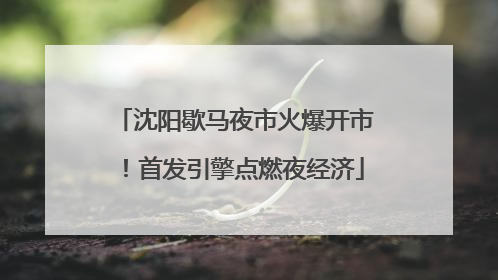 沈阳歇马夜市火爆开市！首发引擎点燃夜经济