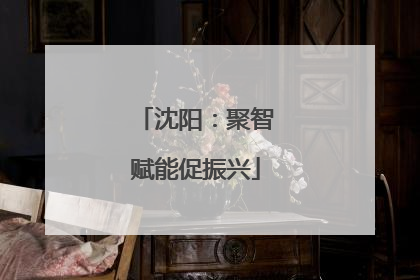 沈阳：聚智赋能促振兴
