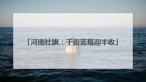 河南社旗：千亩蓝莓迎丰收