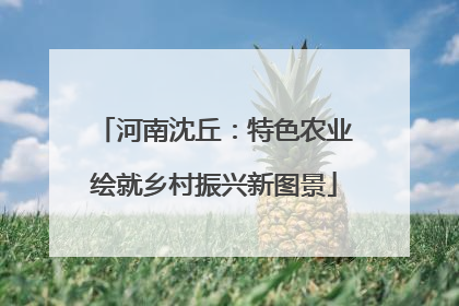 河南沈丘：特色农业绘就乡村振兴新图景