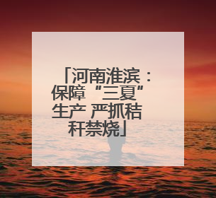 河南淮滨：保障“三夏”生产 严抓秸秆禁烧