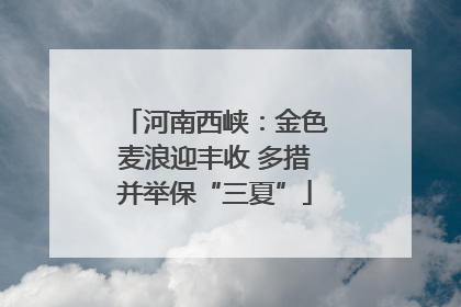 河南西峡：金色麦浪迎丰收 多措并举保“三夏”
