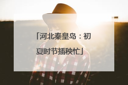 河北秦皇岛：初夏时节插秧忙