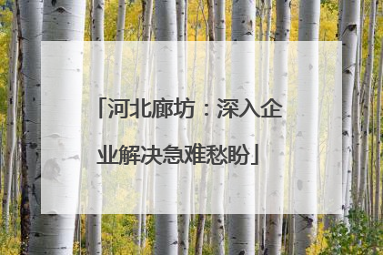 河北廊坊：深入企业解决急难愁盼