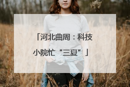 河北曲周：科技小院忙“三夏”