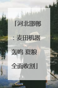 河北邯郸：麦田机器轰鸣 夏粮全面收割