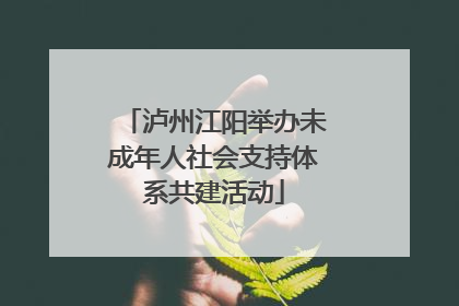 泸州江阳举办未成年人社会支持体系共建活动