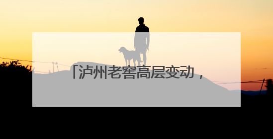 泸州老窖高层变动，履职十年董事离任