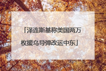 泽连斯基称美国两万枚援乌导弹改运中东