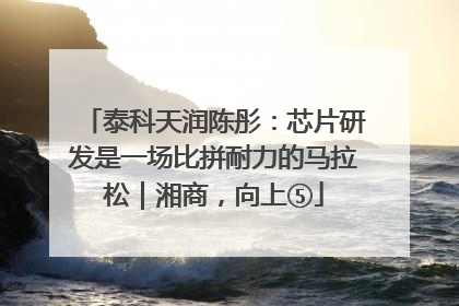 泰科天润陈彤：芯片研发是一场比拼耐力的马拉松｜湘商，向上⑤
