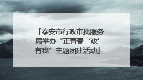 泰安市行政审批服务局举办“正青春‘政’有我”主题团建活动