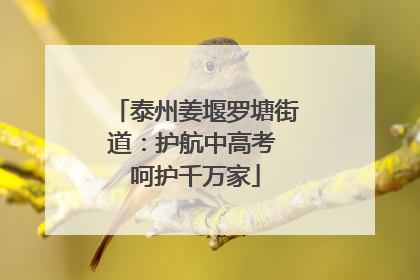 泰州姜堰罗塘街道：护航中高考 呵护千万家