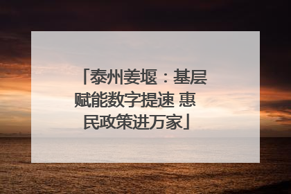 泰州姜堰：基层赋能数字提速 惠民政策进万家
