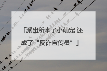 派出所来了小萌宠 还成了“反诈宣传员”