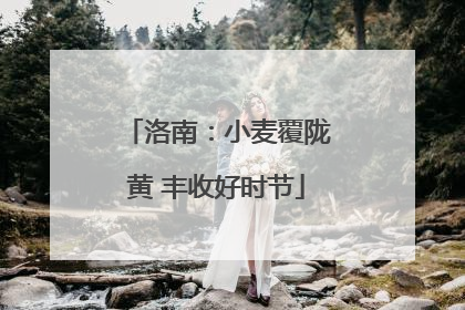 洛南：小麦覆陇黄 丰收好时节