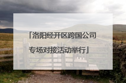 洛阳经开区跨国公司专场对接活动举行